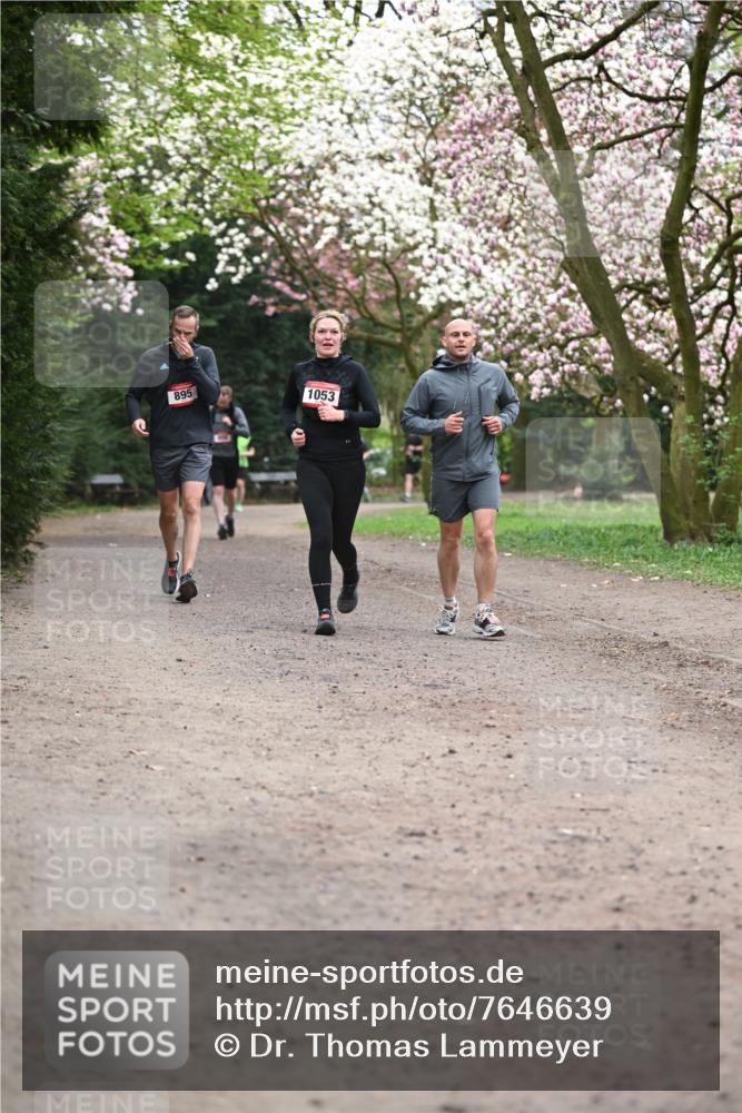 13.04.2025 - Hammer Lauf Dr. Thomas Lammeyer http://msf.ph/oto/7646639 13.04.2025 10:16:34 Laufen 895, 1053 meine-sportfotos.de