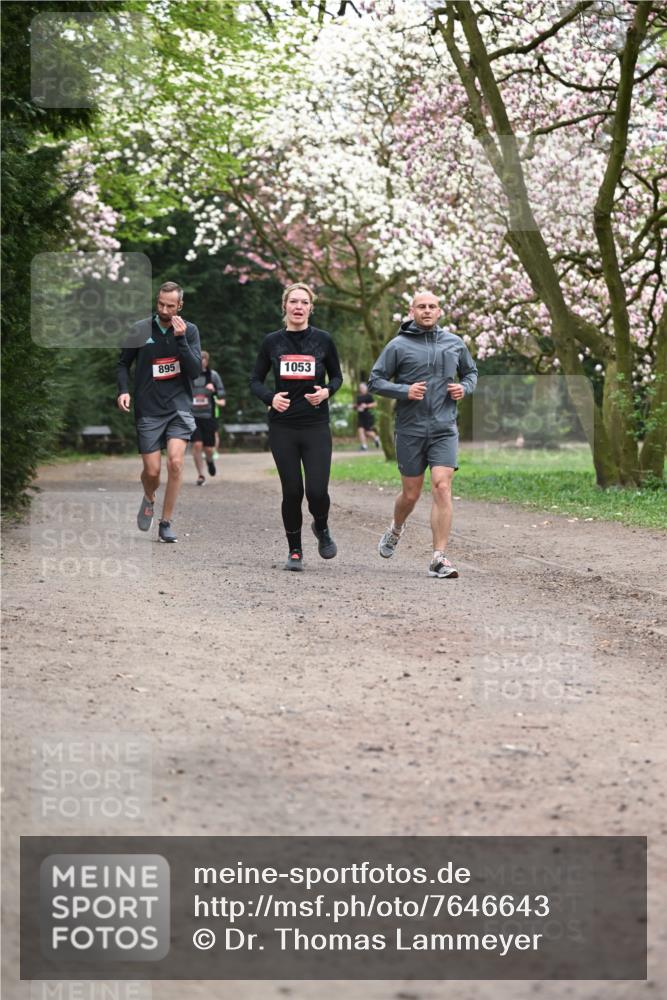 13.04.2025 - Hammer Lauf Dr. Thomas Lammeyer http://msf.ph/oto/7646643 13.04.2025 10:16:34 Laufen 895, 1053 meine-sportfotos.de