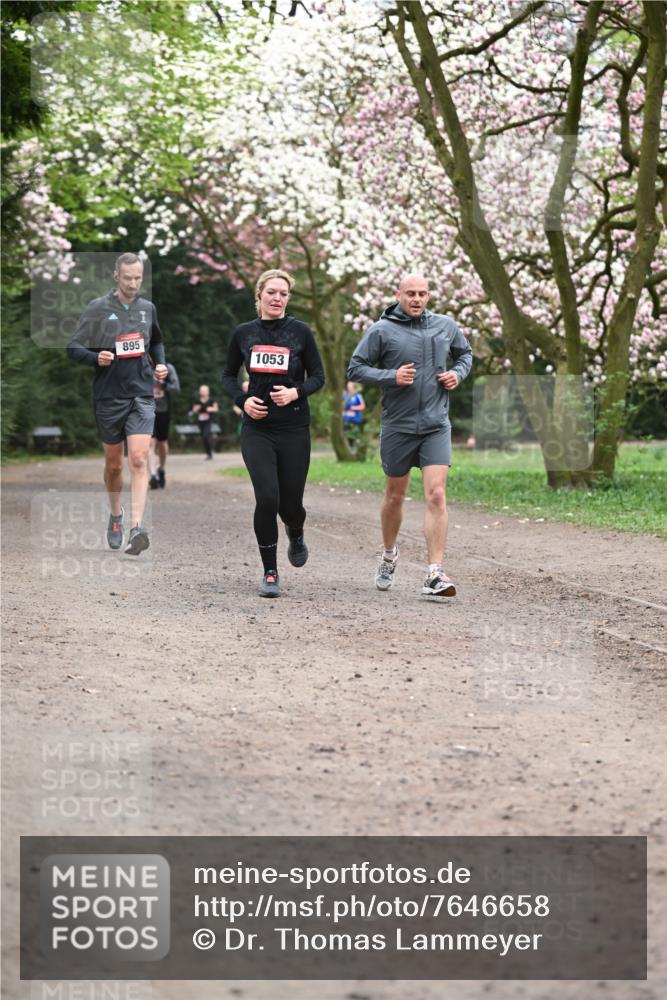 13.04.2025 - Hammer Lauf Dr. Thomas Lammeyer http://msf.ph/oto/7646658 13.04.2025 10:16:35 Laufen 895, 1053 meine-sportfotos.de