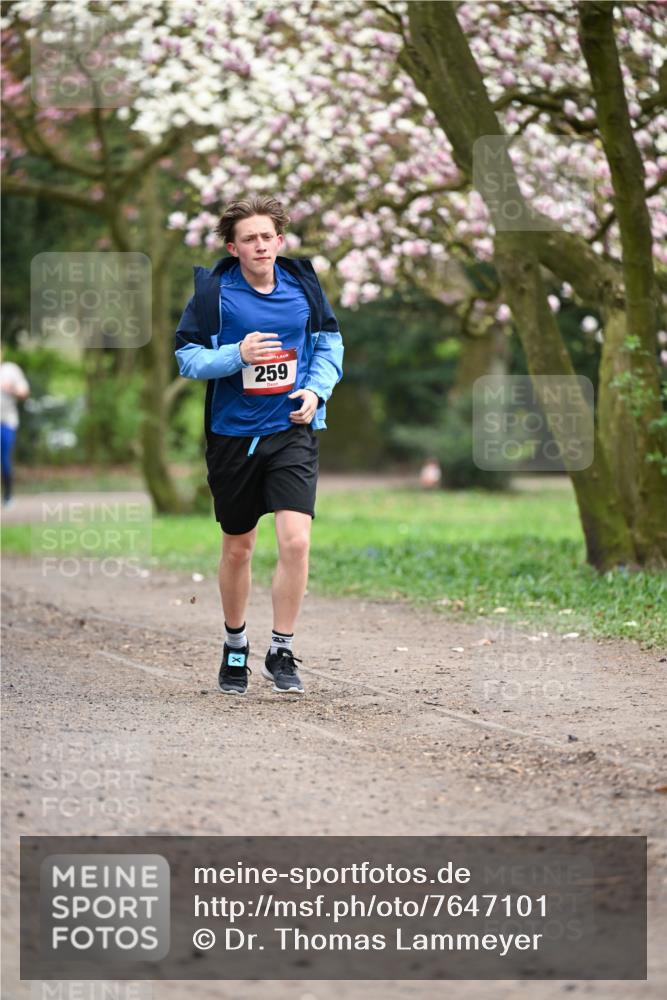 13.04.2025 - Hammer Lauf Dr. Thomas Lammeyer http://msf.ph/oto/7647101 13.04.2025 10:17:29 Laufen 259 meine-sportfotos.de