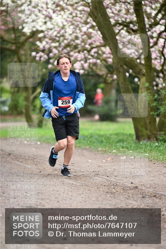 13.04.2025 - Hammer Lauf Dr. Thomas Lammeyer http://msf.ph/oto/7647107 13.04.2025 10:17:29 Laufen 15, 259 meine-sportfotos.de