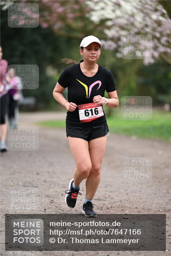 13.04.2025 - Hammer Lauf Dr. Thomas Lammeyer http://msf.ph/oto/7647166 13.04.2025 10:17:32 Laufen 15, 616 meine-sportfotos.de