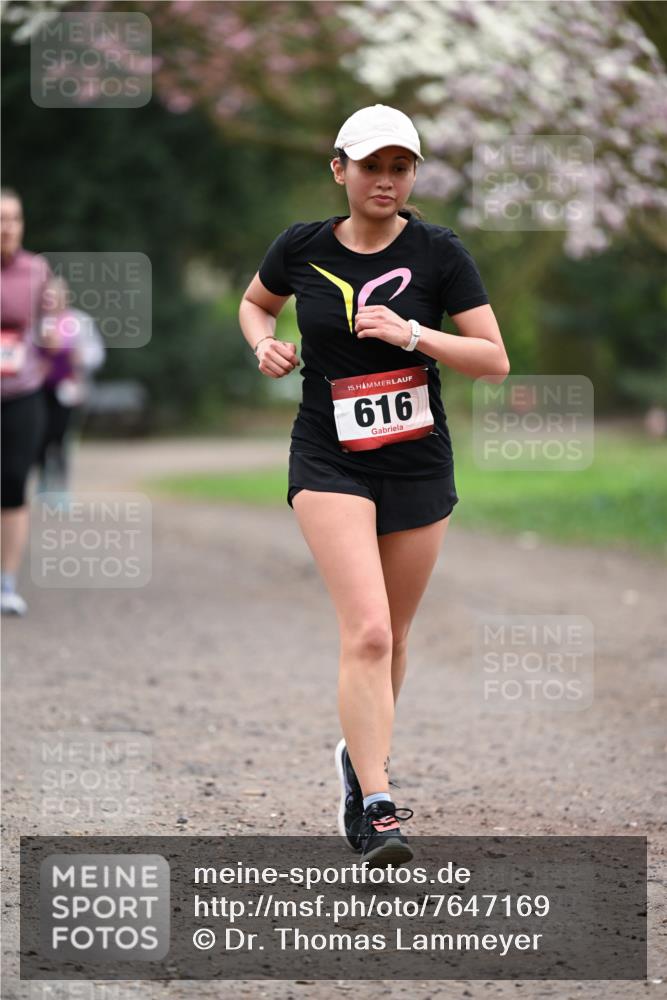 13.04.2025 - Hammer Lauf Dr. Thomas Lammeyer http://msf.ph/oto/7647169 13.04.2025 10:17:32 Laufen 15, 616 meine-sportfotos.de