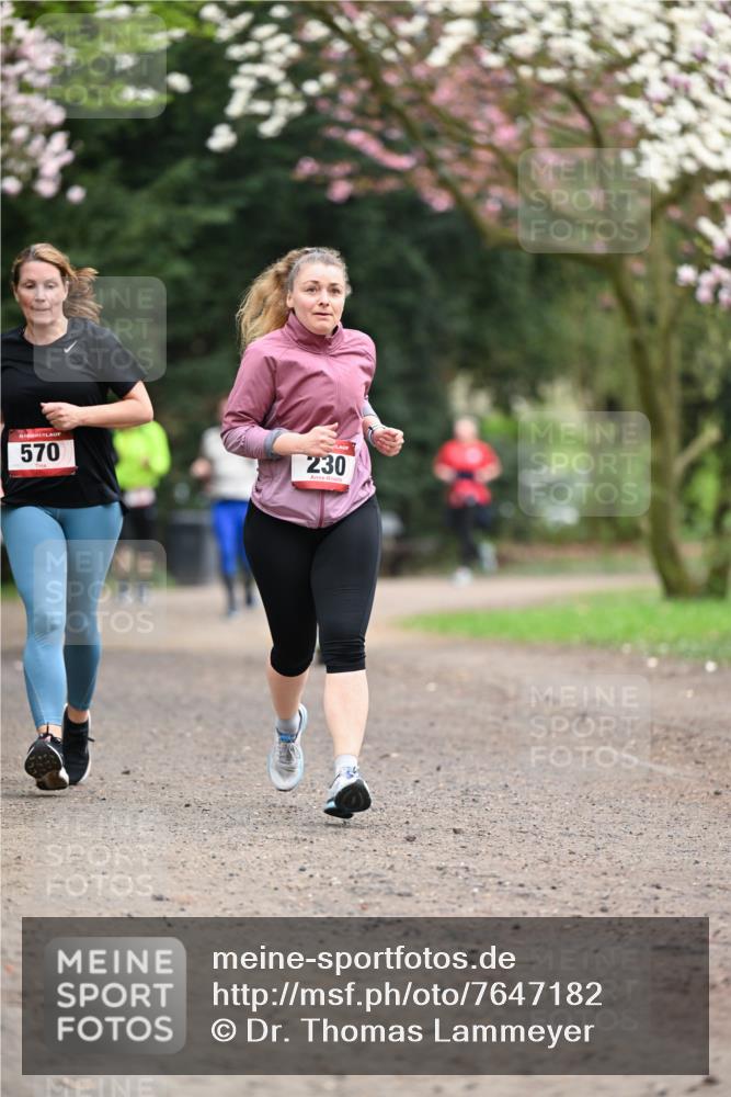 13.04.2025 - Hammer Lauf Dr. Thomas Lammeyer http://msf.ph/oto/7647182 13.04.2025 10:17:33 Laufen 570, 230 meine-sportfotos.de