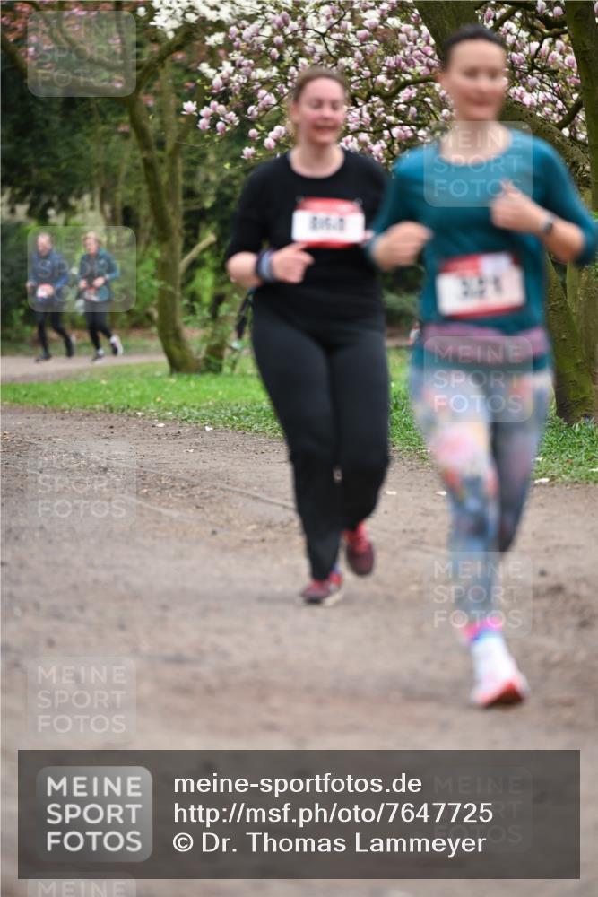 13.04.2025 - Hammer Lauf Dr. Thomas Lammeyer http://msf.ph/oto/7647725 13.04.2025 10:18:25 Laufen 324 meine-sportfotos.de