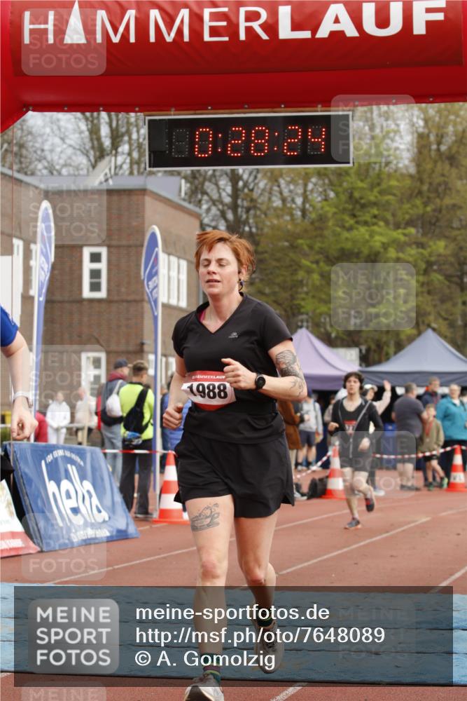 13.04.2025 - Hammer Lauf A. Gomolzig http://msf.ph/oto/7648089 13.04.2025 10:14:24 Ziel 136, 151, 311, 410, 574, 772, 1588, 1778, 1968, 1988 meine-sportfotos.de