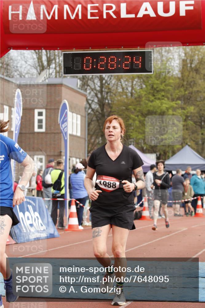 13.04.2025 - Hammer Lauf A. Gomolzig http://msf.ph/oto/7648095 13.04.2025 10:14:24 Ziel 136, 151, 311, 410, 574, 772, 1588, 1778, 1968, 1988 meine-sportfotos.de