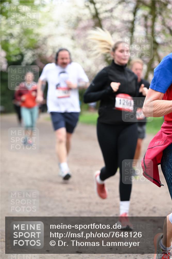 13.04.2025 - Hammer Lauf Dr. Thomas Lammeyer http://msf.ph/oto/7648126 13.04.2025 10:19:01 Laufen 1286 meine-sportfotos.de