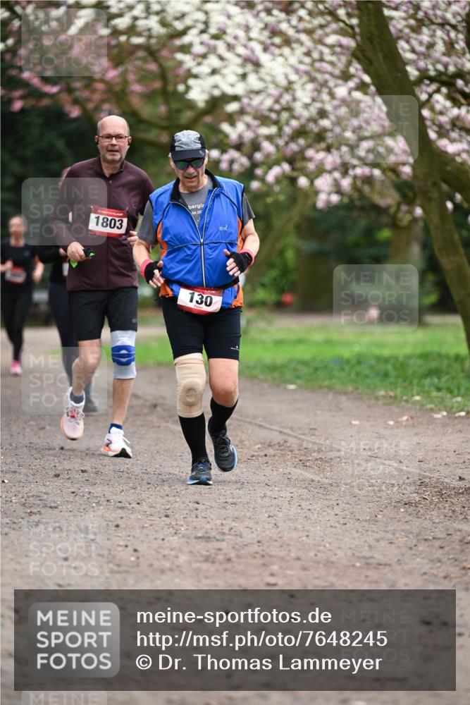 13.04.2025 - Hammer Lauf Dr. Thomas Lammeyer http://msf.ph/oto/7648245 13.04.2025 10:19:11 Laufen 1803, 04, 20, 130 meine-sportfotos.de