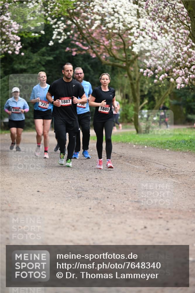 13.04.2025 - Hammer Lauf Dr. Thomas Lammeyer http://msf.ph/oto/7648340 13.04.2025 10:19:18 Laufen 1887, 731, 1889, 1365 meine-sportfotos.de