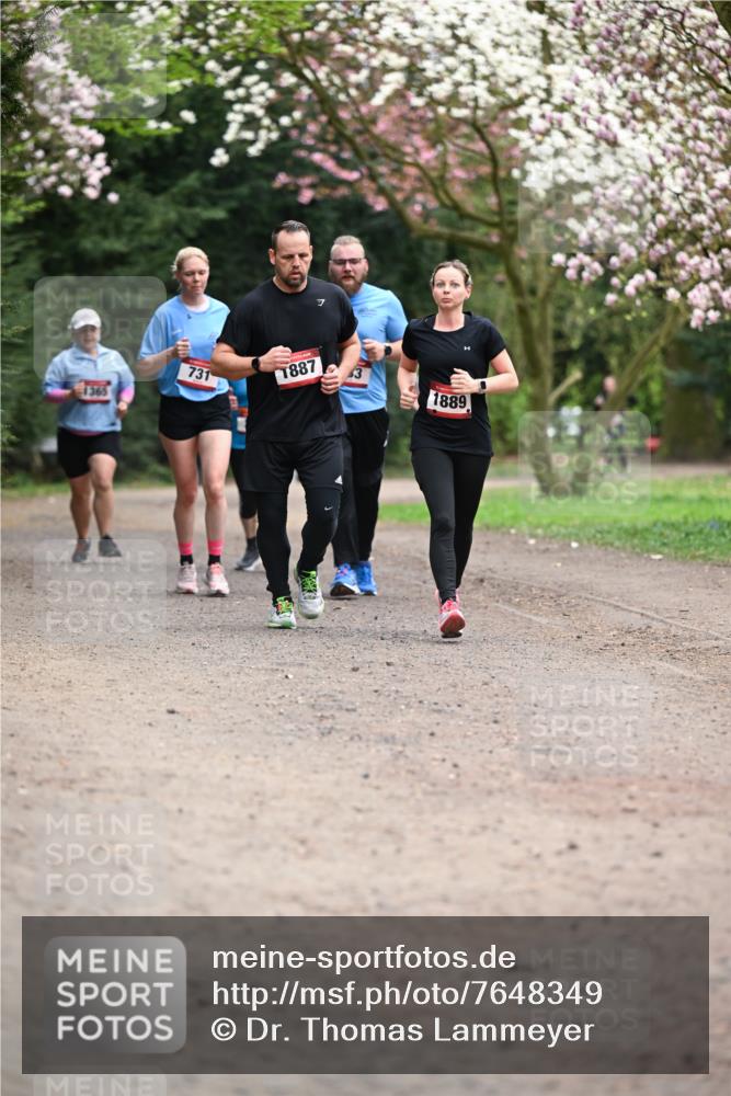 13.04.2025 - Hammer Lauf Dr. Thomas Lammeyer http://msf.ph/oto/7648349 13.04.2025 10:19:18 Laufen 1365, 731, 1887, 3, 1889 meine-sportfotos.de
