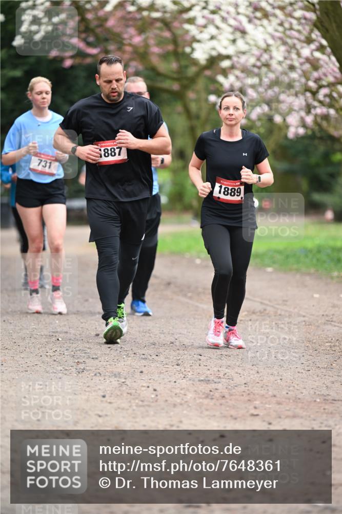13.04.2025 - Hammer Lauf Dr. Thomas Lammeyer http://msf.ph/oto/7648361 13.04.2025 10:19:19 Laufen 731, 887, 1889 meine-sportfotos.de