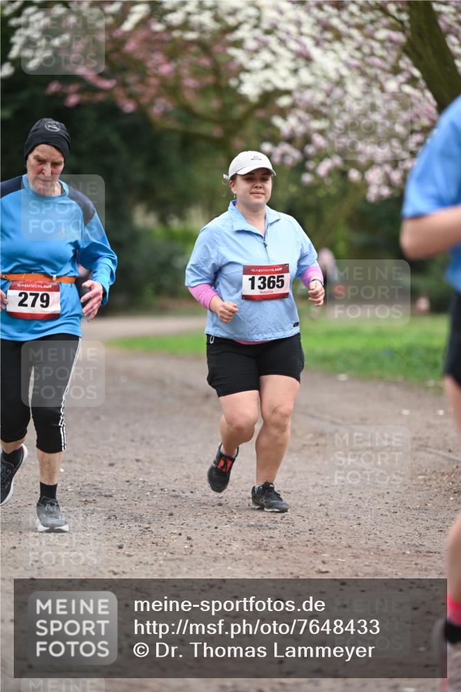 13.04.2025 - Hammer Lauf Dr. Thomas Lammeyer http://msf.ph/oto/7648433 13.04.2025 10:19:24 Laufen 15, 279, 15, 1365 meine-sportfotos.de
