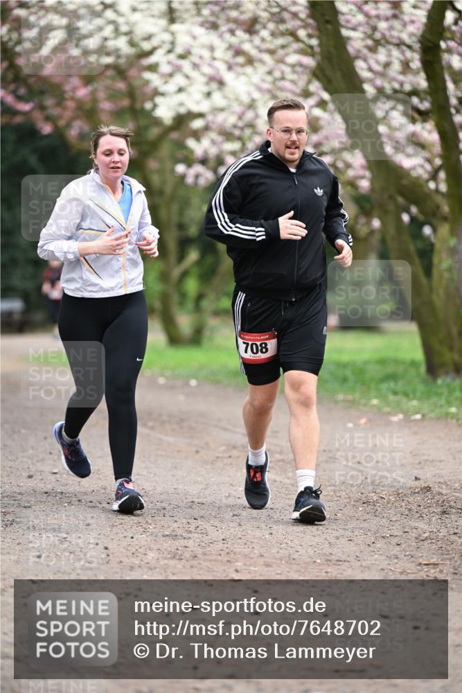 13.04.2025 - Hammer Lauf Dr. Thomas Lammeyer http://msf.ph/oto/7648702 13.04.2025 10:19:56 Laufen 708 meine-sportfotos.de