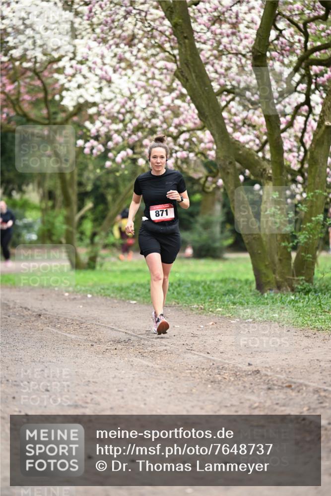 13.04.2025 - Hammer Lauf Dr. Thomas Lammeyer http://msf.ph/oto/7648737 13.04.2025 10:20:00 Laufen 871 meine-sportfotos.de