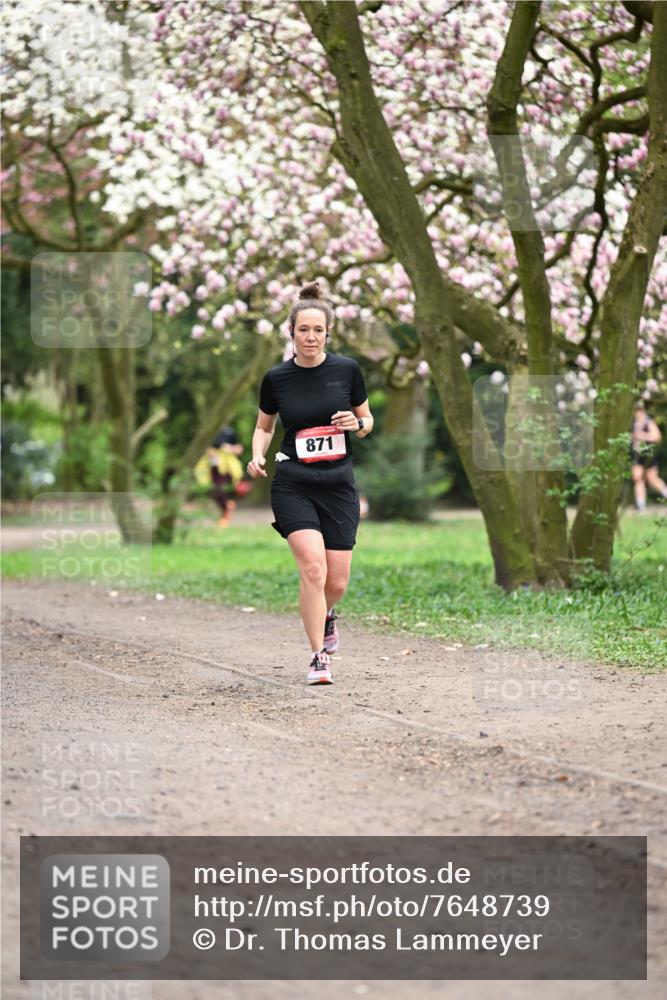 13.04.2025 - Hammer Lauf Dr. Thomas Lammeyer http://msf.ph/oto/7648739 13.04.2025 10:20:00 Laufen 871 meine-sportfotos.de