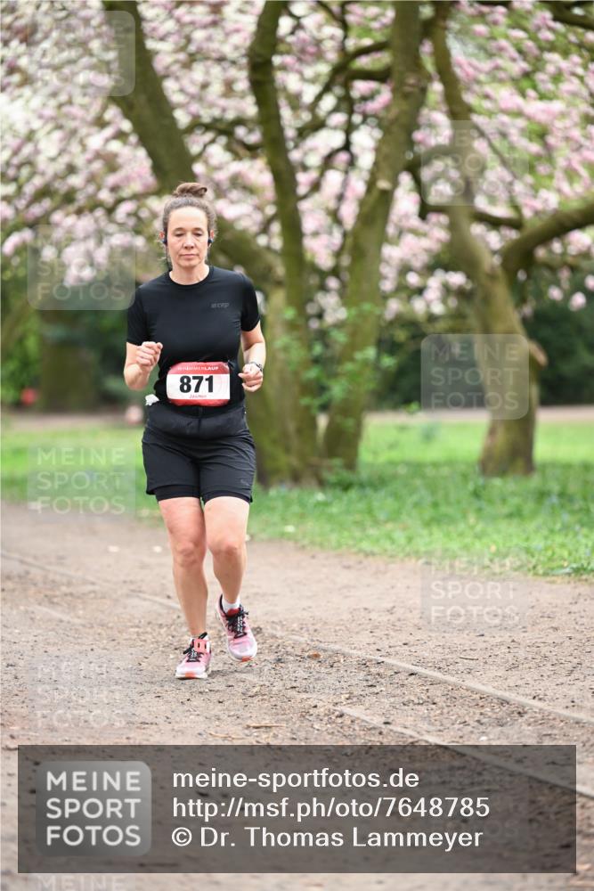 13.04.2025 - Hammer Lauf Dr. Thomas Lammeyer http://msf.ph/oto/7648785 13.04.2025 10:20:02 Laufen 15, 871 meine-sportfotos.de