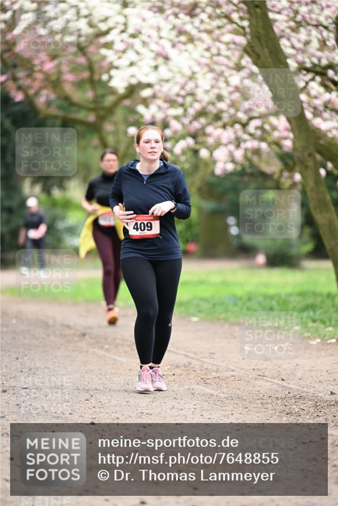 13.04.2025 - Hammer Lauf Dr. Thomas Lammeyer http://msf.ph/oto/7648855 13.04.2025 10:20:17 Laufen 409 meine-sportfotos.de