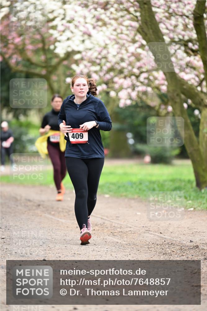 13.04.2025 - Hammer Lauf Dr. Thomas Lammeyer http://msf.ph/oto/7648857 13.04.2025 10:20:18 Laufen 409 meine-sportfotos.de