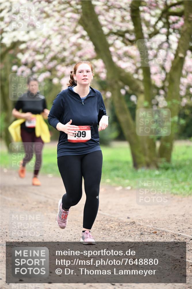 13.04.2025 - Hammer Lauf Dr. Thomas Lammeyer http://msf.ph/oto/7648880 13.04.2025 10:20:19 Laufen 09 meine-sportfotos.de