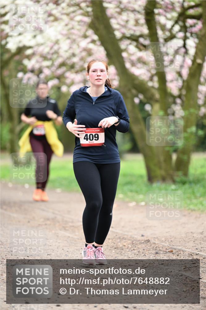 13.04.2025 - Hammer Lauf Dr. Thomas Lammeyer http://msf.ph/oto/7648882 13.04.2025 10:20:19 Laufen 409 meine-sportfotos.de
