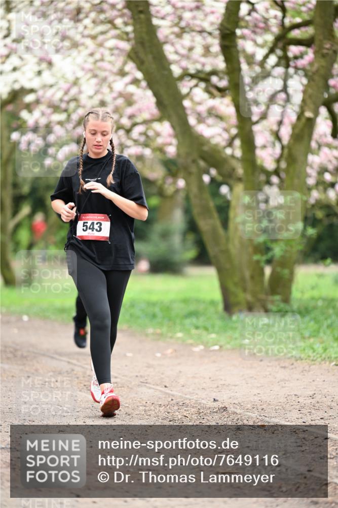 13.04.2025 - Hammer Lauf Dr. Thomas Lammeyer http://msf.ph/oto/7649116 13.04.2025 10:21:37 Laufen 1, 543 meine-sportfotos.de