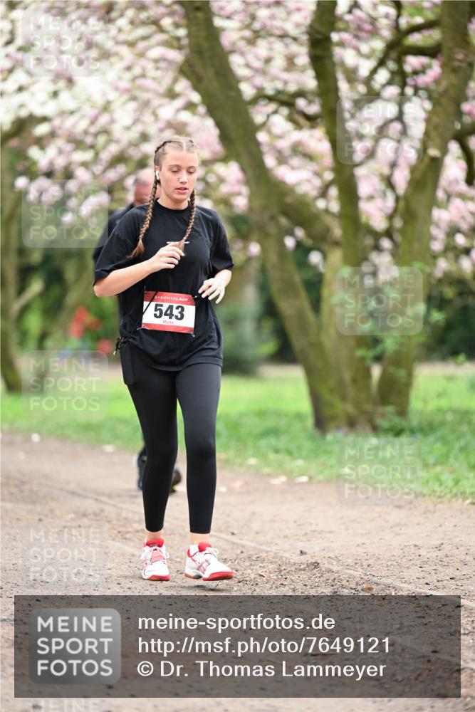 13.04.2025 - Hammer Lauf Dr. Thomas Lammeyer http://msf.ph/oto/7649121 13.04.2025 10:21:38 Laufen 543 meine-sportfotos.de