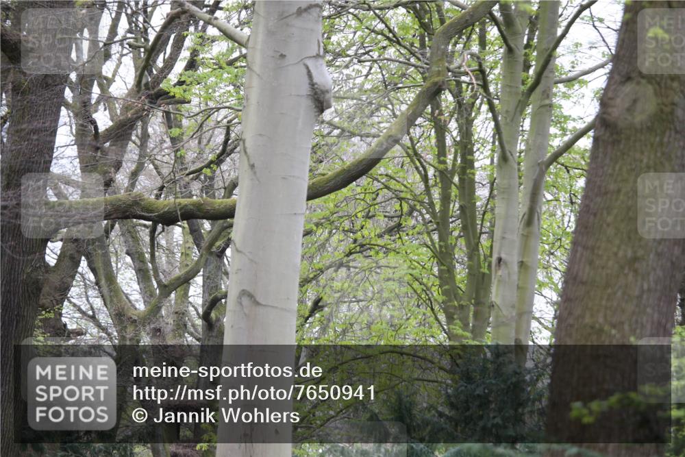 13.04.2025 - Hammer Lauf Jannik Wohlers http://msf.ph/oto/7650941 13.04.2025 10:02:45 Laufen  meine-sportfotos.de
