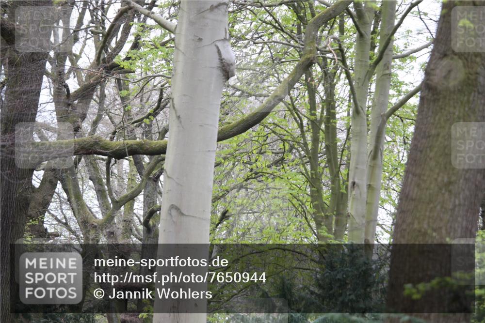 13.04.2025 - Hammer Lauf Jannik Wohlers http://msf.ph/oto/7650944 13.04.2025 10:02:45 Laufen  meine-sportfotos.de