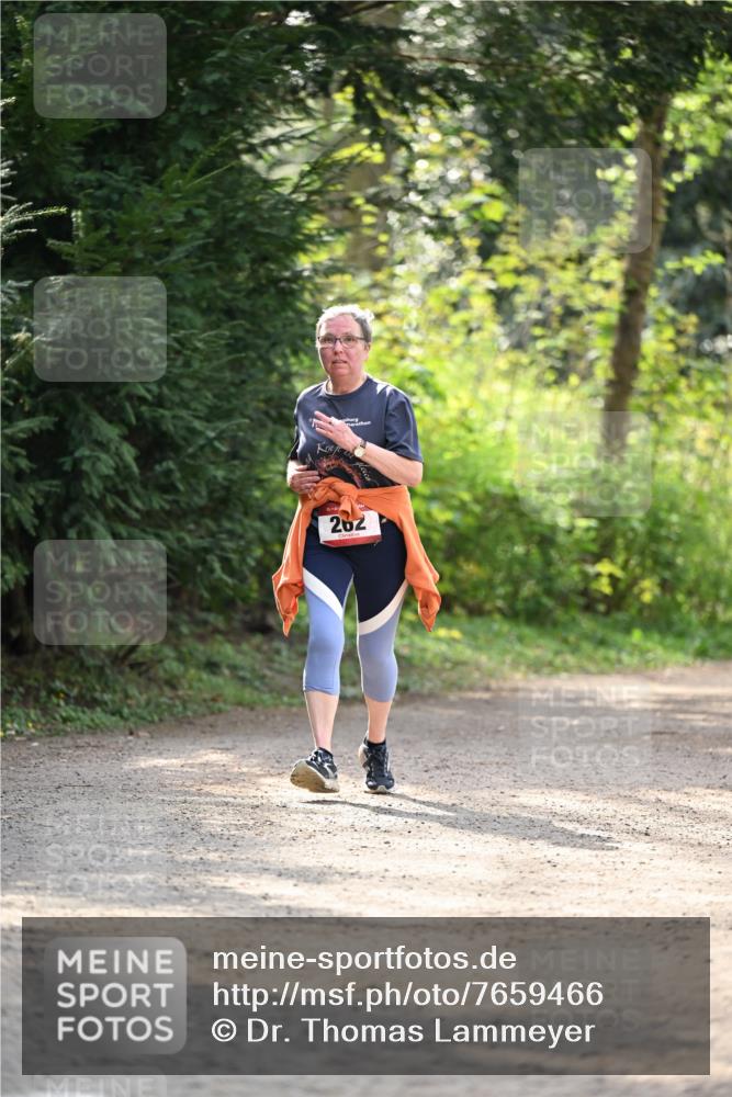 13.04.2025 - Hammer Lauf Dr. Thomas Lammeyer http://msf.ph/oto/7659466 13.04.2025 10:59:32 Laufen 262 meine-sportfotos.de