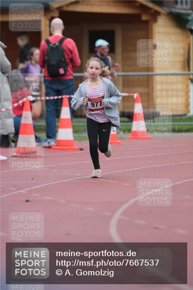 13.04.2025 - Hammer Lauf A. Gomolzig http://msf.ph/oto/7667537 13.04.2025 13:03:44 Ziel 977 meine-sportfotos.de