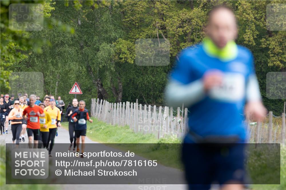 04.05.2025 - 8. Wedeler Halbmarathon Michael Strokosch http://msf.ph/oto/7816165 04.05.2025 10:48:25 Laufen 218 meine-sportfotos.de