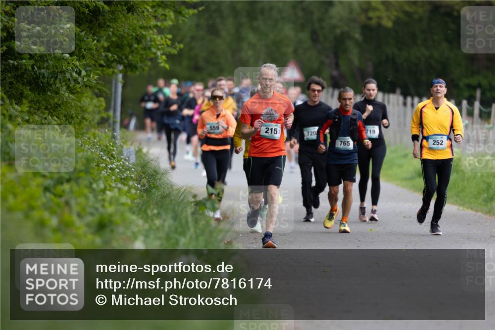 04.05.2025 - 8. Wedeler Halbmarathon Michael Strokosch http://msf.ph/oto/7816174 04.05.2025 10:48:38 Laufen 559, 215, 719, 720, 252, 765 meine-sportfotos.de