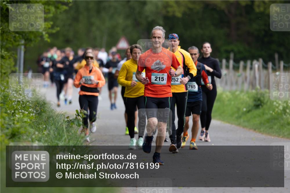 04.05.2025 - 8. Wedeler Halbmarathon Michael Strokosch http://msf.ph/oto/7816199 04.05.2025 10:48:42 Laufen 215, 252, 765 meine-sportfotos.de