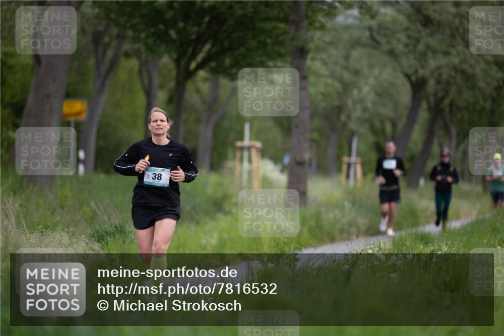 04.05.2025 - 8. Wedeler Halbmarathon Michael Strokosch http://msf.ph/oto/7816532 04.05.2025 11:13:19 Laufen 38 meine-sportfotos.de