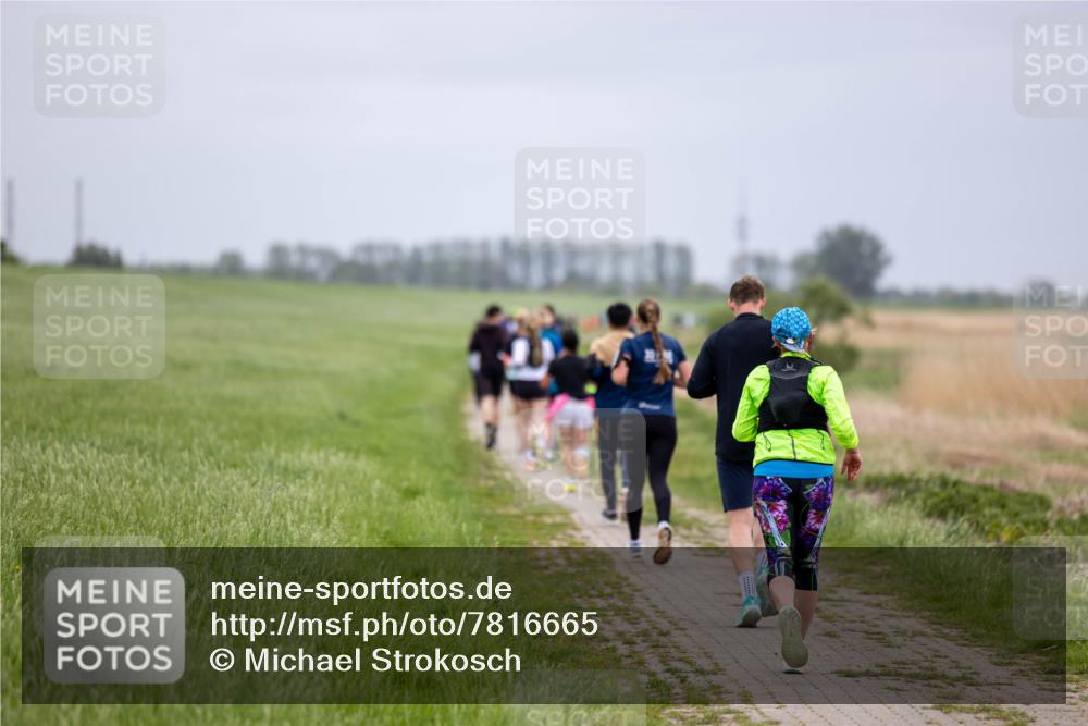 04.05.2025 - 8. Wedeler Halbmarathon Michael Strokosch http://msf.ph/oto/7816665 04.05.2025 11:30:32 Laufen  meine-sportfotos.de