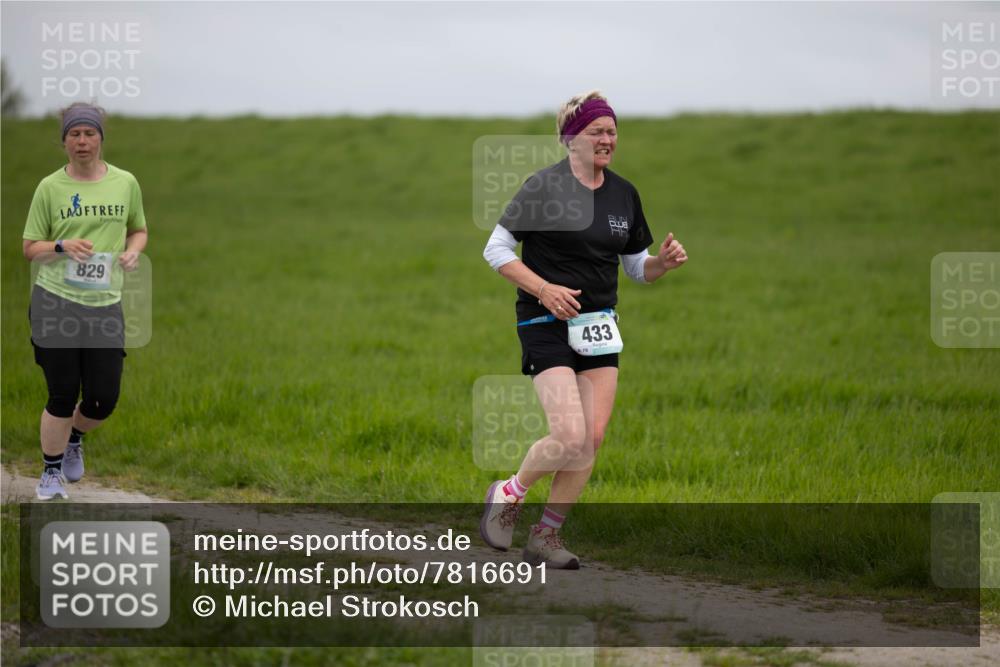 04.05.2025 - 8. Wedeler Halbmarathon Michael Strokosch http://msf.ph/oto/7816691 04.05.2025 11:31:51 Laufen 829, 433, 78 meine-sportfotos.de