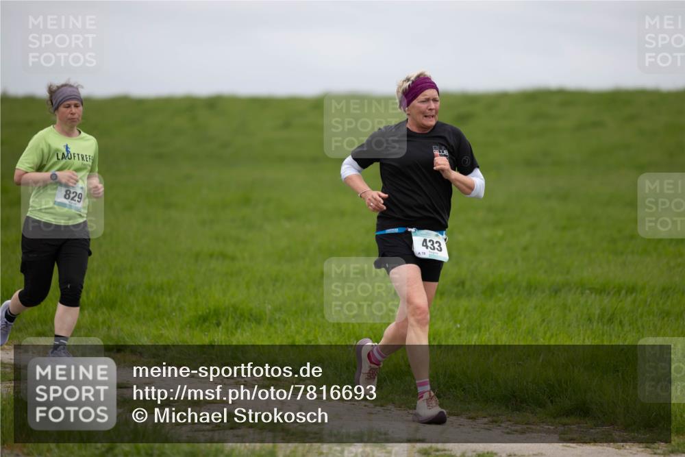 04.05.2025 - 8. Wedeler Halbmarathon Michael Strokosch http://msf.ph/oto/7816693 04.05.2025 11:31:52 Laufen 829, 433, 78 meine-sportfotos.de