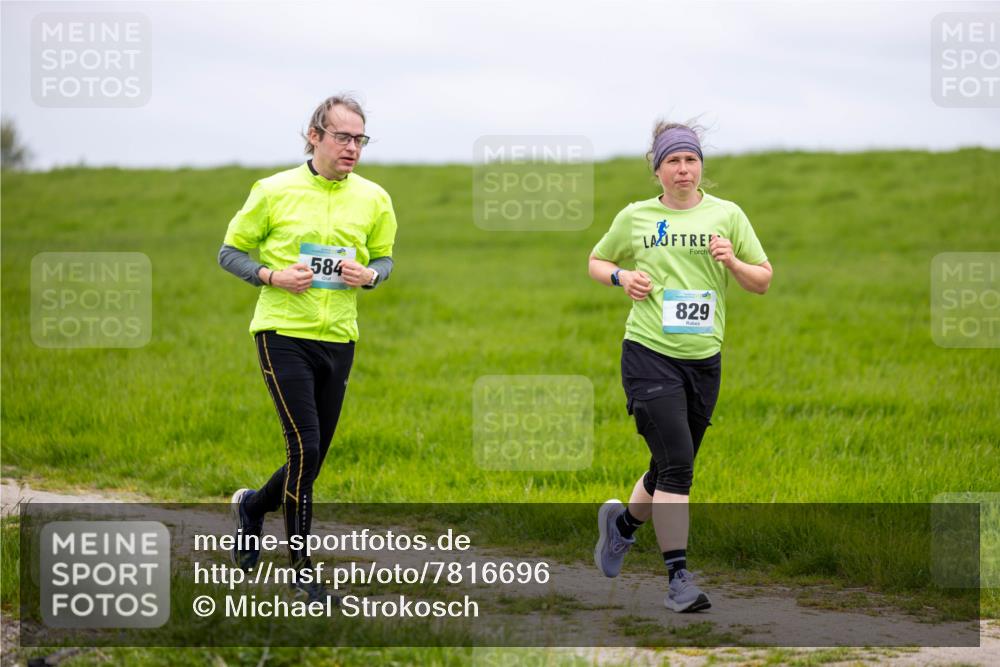 04.05.2025 - 8. Wedeler Halbmarathon Michael Strokosch http://msf.ph/oto/7816696 04.05.2025 11:31:53 Laufen 584, 829 meine-sportfotos.de