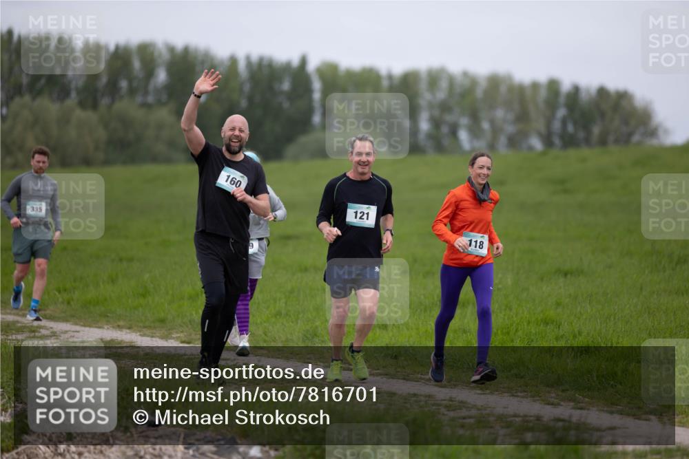 04.05.2025 - 8. Wedeler Halbmarathon Michael Strokosch http://msf.ph/oto/7816701 04.05.2025 11:31:58 Laufen 335, 160, 121, 118, 9 meine-sportfotos.de
