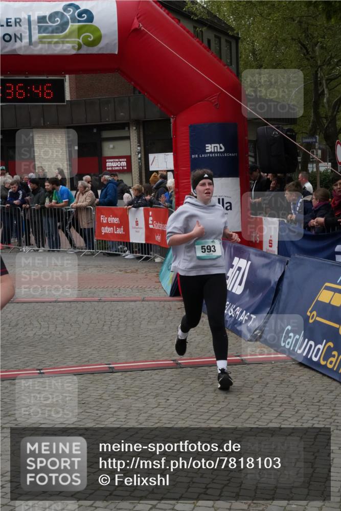 04.05.2025 - 8. Wedeler Halbmarathon Felixshl http://msf.ph/oto/7818103 04.05.2025 11:36:44 Ziel 393, 526, 593, 663 meine-sportfotos.de