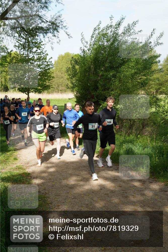 04.05.2025 - 8. Wedeler Halbmarathon Felixshl http://msf.ph/oto/7819329 04.05.2025 10:01:50 Laufen 366, 585, 139, 1150, 31, 566 meine-sportfotos.de