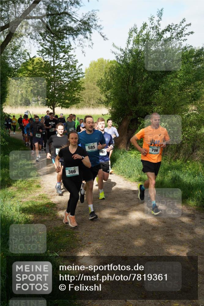 04.05.2025 - 8. Wedeler Halbmarathon Felixshl http://msf.ph/oto/7819361 04.05.2025 10:01:52 Laufen 198, 683, 745, 366, 585, 761, 706 meine-sportfotos.de