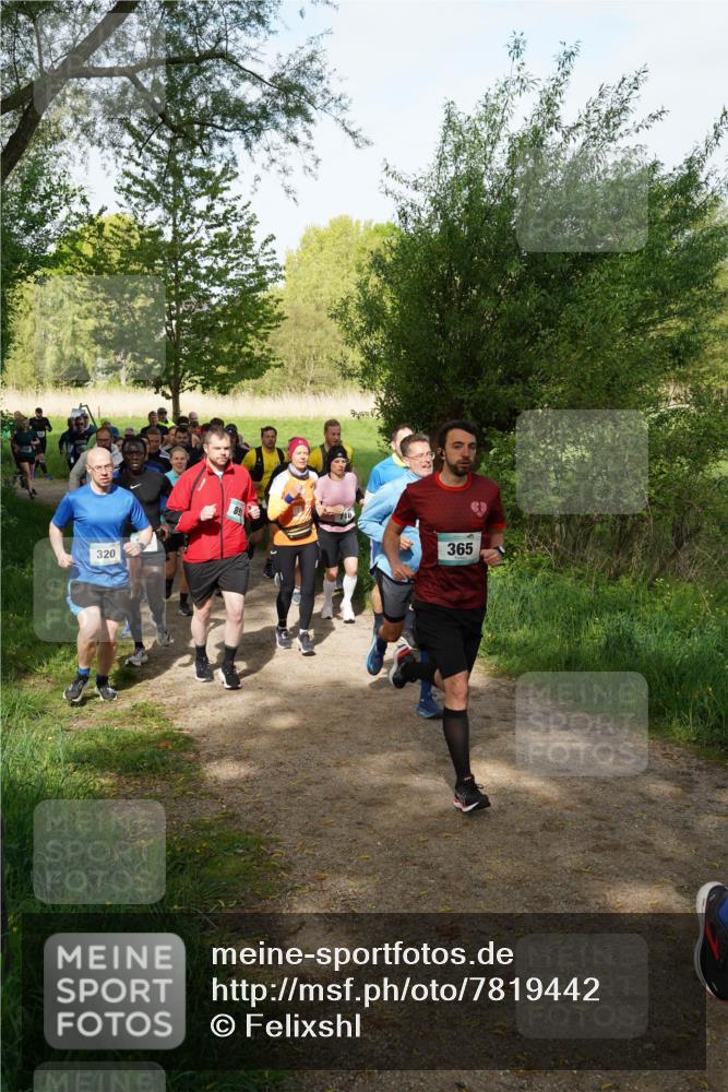 04.05.2025 - 8. Wedeler Halbmarathon Felixshl http://msf.ph/oto/7819442 04.05.2025 10:02:03 Laufen 320, 365 meine-sportfotos.de