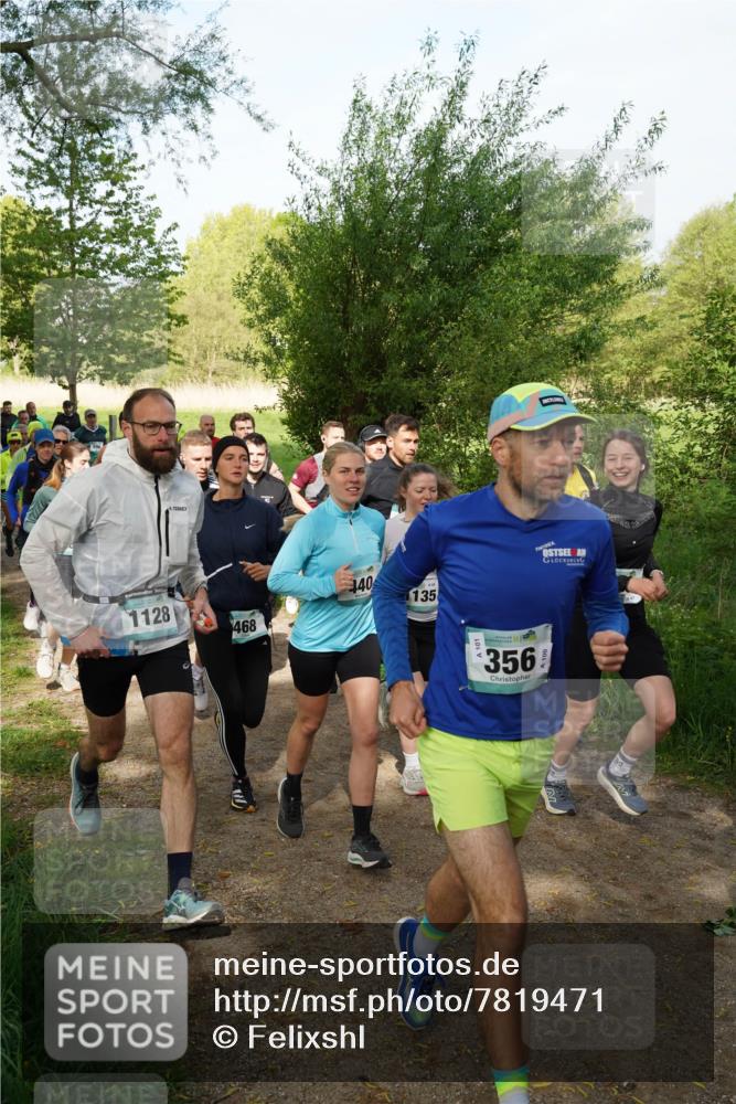04.05.2025 - 8. Wedeler Halbmarathon Felixshl http://msf.ph/oto/7819471 04.05.2025 10:02:06 Laufen 1128, 468, 140, 135, 356 meine-sportfotos.de