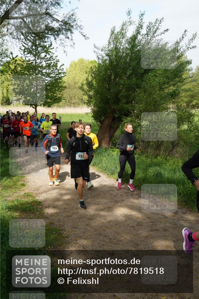04.05.2025 - 8. Wedeler Halbmarathon Felixshl http://msf.ph/oto/7819518 04.05.2025 10:01:59 Laufen 949, 415, 765, 152 meine-sportfotos.de