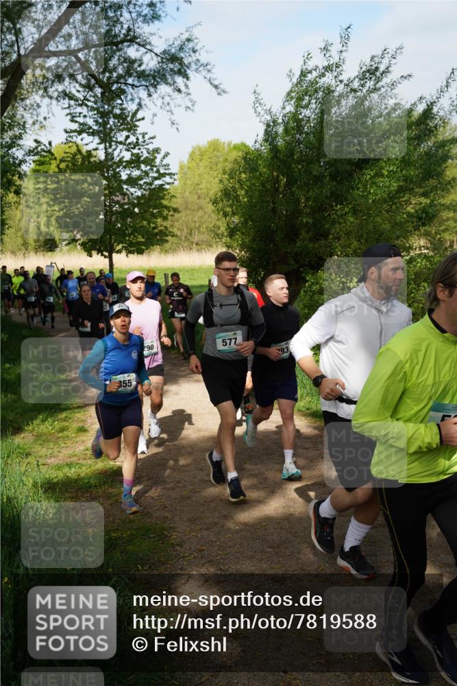 04.05.2025 - 8. Wedeler Halbmarathon Felixshl http://msf.ph/oto/7819588 04.05.2025 10:02:22 Laufen 355, 290, 577, 83 meine-sportfotos.de