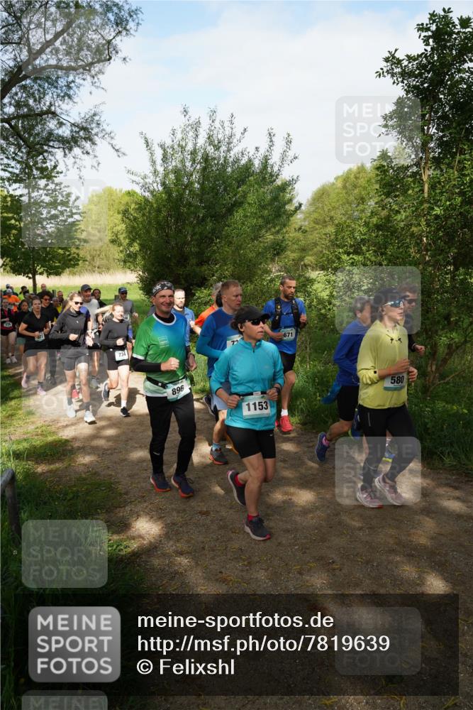 04.05.2025 - 8. Wedeler Halbmarathon Felixshl http://msf.ph/oto/7819639 04.05.2025 10:02:37 Laufen 276, 734, 896, 1153, 671, 580 meine-sportfotos.de