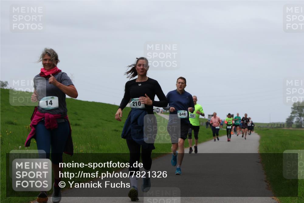 04.05.2025 - 8. Wedeler Halbmarathon Yannick Fuchs http://msf.ph/oto/7821326 04.05.2025 11:28:20 Laufen 14, 210, 648, 620 meine-sportfotos.de