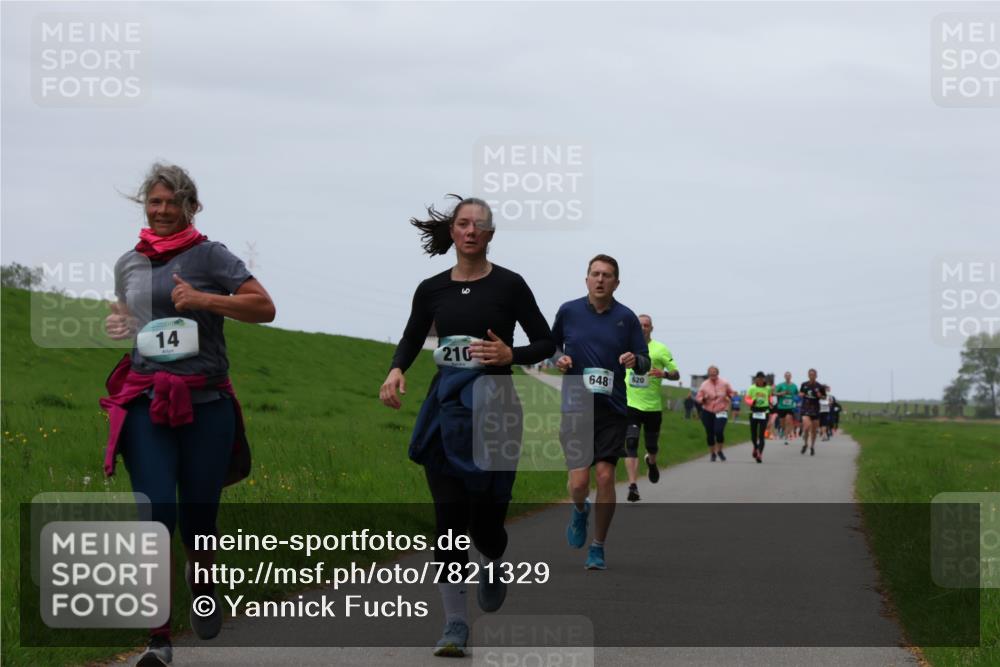 04.05.2025 - 8. Wedeler Halbmarathon Yannick Fuchs http://msf.ph/oto/7821329 04.05.2025 11:28:20 Laufen 14, 210, 648, 620 meine-sportfotos.de